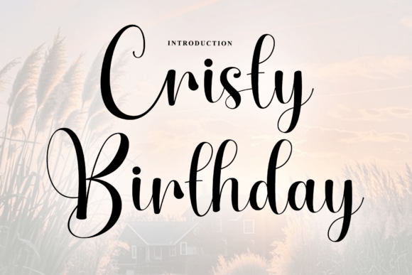 Cristy Birthday: A Rhythmic Script for Artisanal Branding
