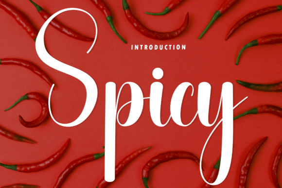Spicy: The Handwritten Font for Elegant Branding